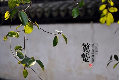 2020年二月十二驚蟄可以理發嗎,驚蟄節氣有什么含義？(圖文)