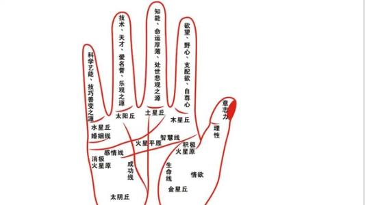 智慧線長(zhǎng)的小孩都很聰明嗎？智慧線怎么看命運(yùn)？(圖文)