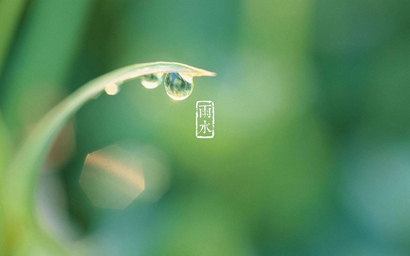 雨水節氣出生的屬牛人命運如何 是什么命？(圖文)