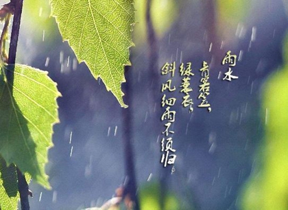 2020年雨水后一天宜裝修房子嗎，雨水節氣更容易下雨嗎？(圖文)