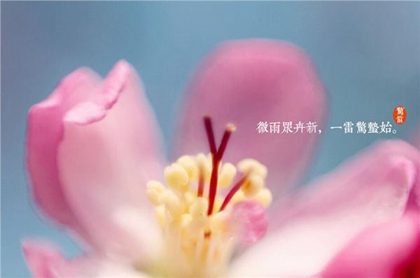 2020年二月十二驚蟄可以理發嗎,驚蟄節氣有什么含義？(圖文)