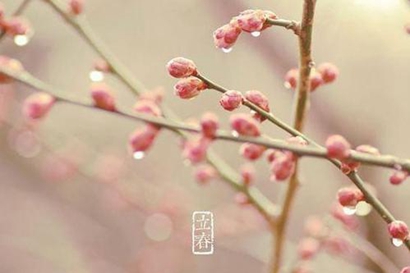 2月4日立春出生的屬雞寶寶是什么命 一生運勢好不好？(圖文)