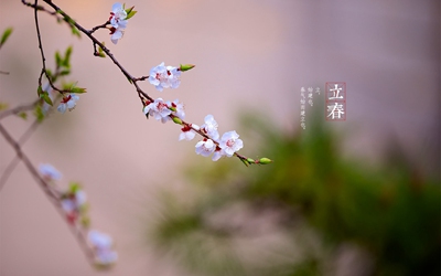 立春是什么日子？2020年立春是農(nóng)歷哪一天？(圖文)