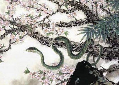 屬蛇過(guò)年出生的人是什么命 屬蛇正月初一出生的命運(yùn)(圖文)