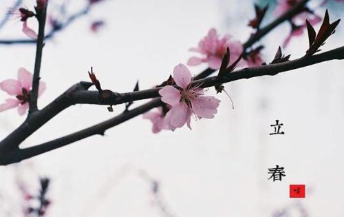 立春前后出生屬蛇的人事業運勢順嗎 命運簡析！(圖文)