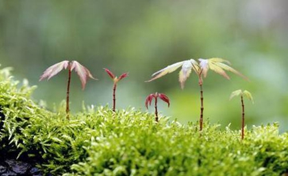 2020年農(nóng)歷二月二十是理發(fā)吉日嗎,今天卦象吉不吉利?(圖文)