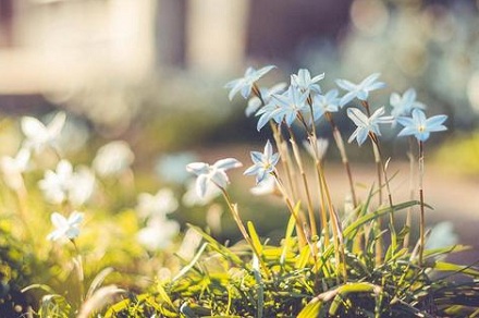 屬兔2019年年底之前工作有變動(dòng)嗎?事業(yè)運(yùn)好不好?(圖文)