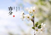 2020年春分節氣的具體時辰介紹！春分的習俗有哪些？