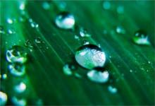 2020年2月19日雨水節(jié)氣宜出行嗎,關于雨水節(jié)氣諺語解析！