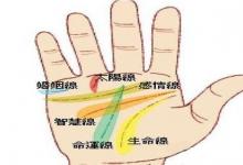手掌上的太陽(yáng)線怎么看富貴程度？什么是太陽(yáng)線？