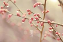 立春（2月3—2月5）立春祭是什么活動 祭祀禮儀講究！