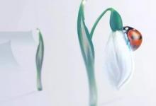 2020年驚蟄前一天二月十一出生女孩八字弱嗎,運勢怎么樣？