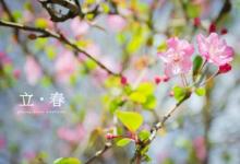 節(jié)氣立春之日要做什么 要“迎春踏春”嗎？