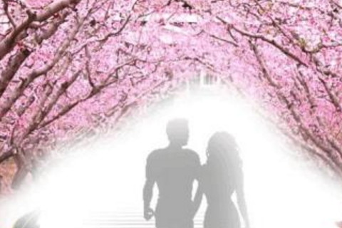 2021年桃花運最旺的生肖？2021年哪些生肖走桃花運?
