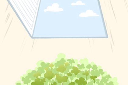 什么植物在家養旺運 蘆薈會讓人發家致富(圖文)