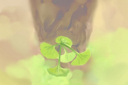 什么植物在家養旺運 蘆薈會讓人發家致富(圖文)