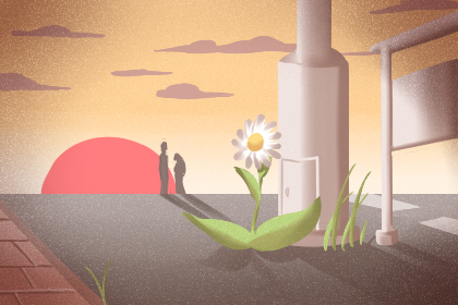 獨樹平禿二姓不睦是什么說法(圖文)