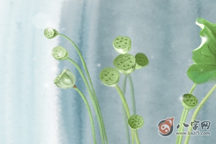 屬鼠的孩子取名字要避免什么字(圖文)