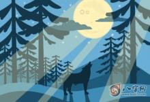 男孩小名 屬鼠孩子取小名的技巧推薦