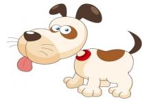 1994年屬狗的人2021年運勢 28歲佩戴什么吉祥物好