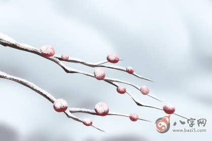 今年犯白老虎是什么意思(圖文)