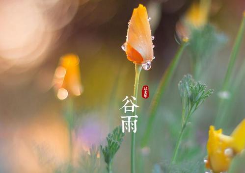 谷雨—三月中氣出生的人代表什么 是喜土命嗎？(圖文)