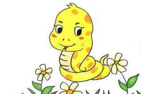 不同年份出生的屬蛇人多少歲了?2020年屬蛇的多大了?