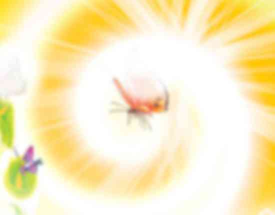 午時出生的女孩命運