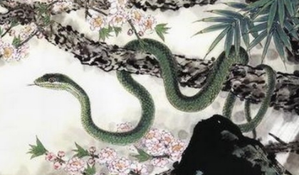 生肖屬蛇的人清明節(jié)出生好不好 屬蛇清明節(jié)出生命運如何？(圖文)