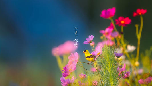2020年4月19日—谷雨節氣出生的寶寶生日密碼解讀！(圖文)