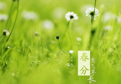 春分節(jié)氣出生的屬兔人命運(yùn)好不好 是什么命？(圖文)