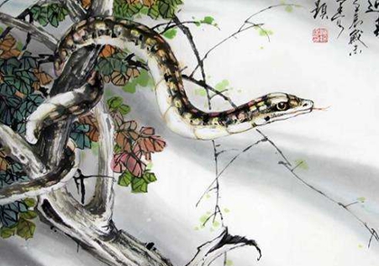 生肖屬蛇的人清明節(jié)出生好不好 屬蛇清明節(jié)出生命運如何？(圖文)