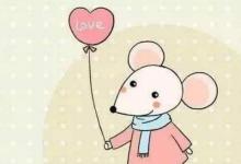 屬鼠2020年出生在幾月份優秀命?陰歷