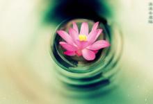 算算午時出生的男孩命運