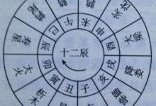 麥玲玲獨家:2021年12生肖運勢詳解