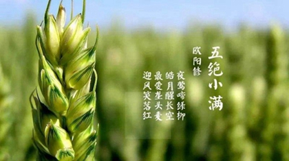 2020年四月廿七-小滿前一天修墳好嗎,2020小滿會下雨嗎？(圖文)