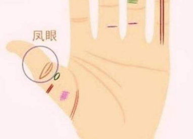 鳳眼紋一端未閉合