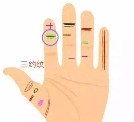 鳳眼紋圖片