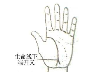 最全最稀少的罕見(jiàn)的手相