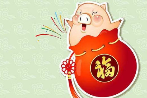 今年屬豬的人多少歲,屬豬的2020年幾歲了