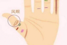 鳳眼紋一端未閉合，什么是鳳眼紋