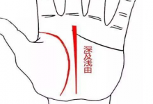 手相圖解之富貴手相，你有沒有呢