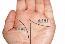 手紋算命,五大掌紋了解一下