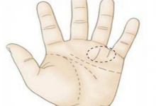 手相看財(cái)運(yùn)