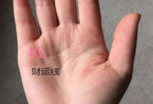 怎么看手相圖解，怎么看手相財運