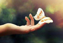 手紋多的人你遇到過嗎