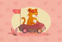 屬虎的今年多大2021，屬虎的2021年多大歲數(shù)