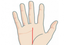 女人的手相怎么看財(cái)運(yùn)