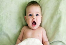 30日出生的鼠寶寶命運如何 人生一帆風順?