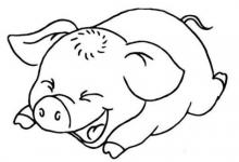 屬豬人2021年佩戴什么開運吉祥物好？男性女性牛年屬豬的帶什么招財運